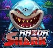 Razor Shark