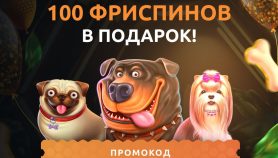 Honey Money Casino – лицензированные слоты и выгодные бонусы